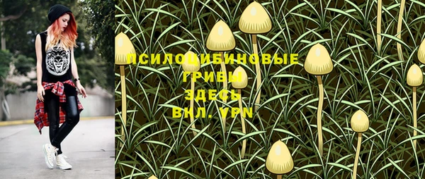 каннабис Горно-Алтайск