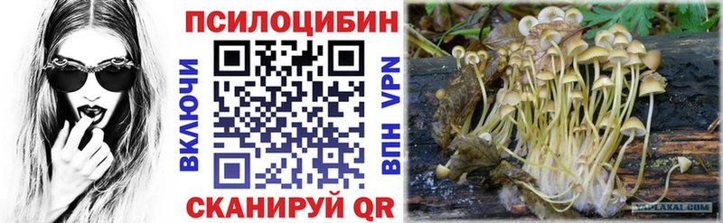 продажа наркотиков  Нея  Галлюциногенные грибы MAGIC MUSHROOMS 